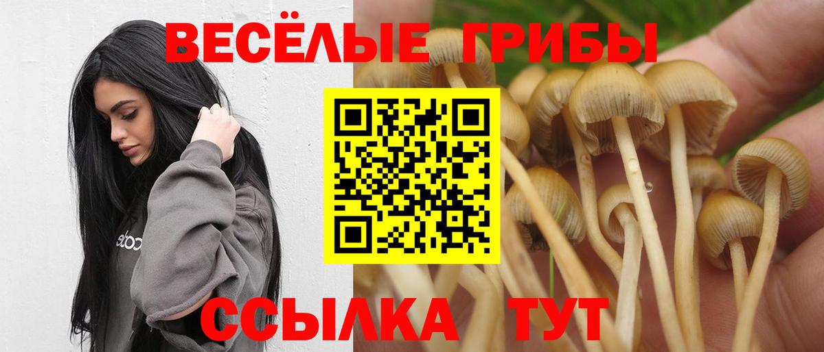 Псилоцибиновые грибы мицелий  Вход с VPN  Златоуст 
